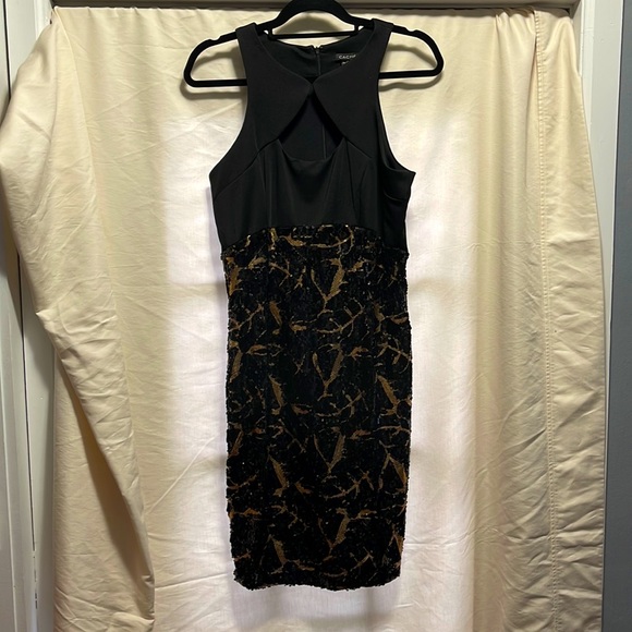 Cache Dresses & Skirts - Cache evening dress
